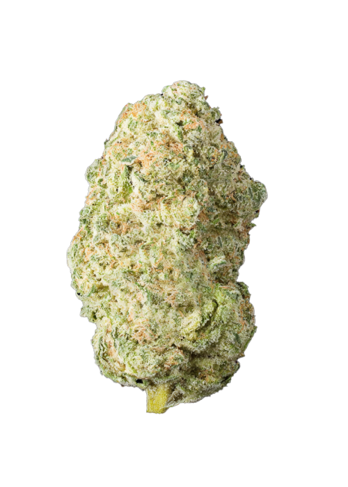 Lemon Lime Sour