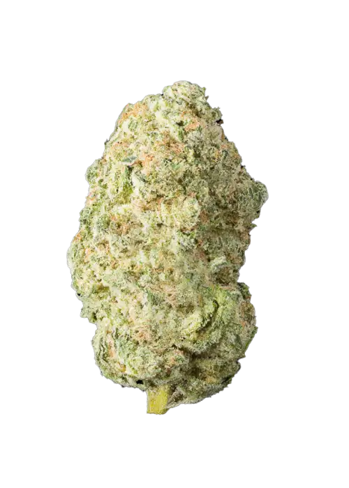 Lemon Lime Sour