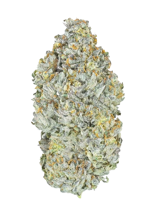 Sherbarelo
