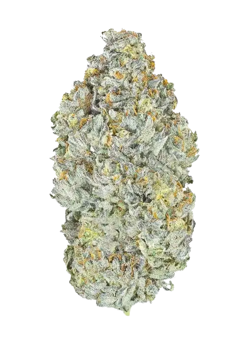 Sherbarelo