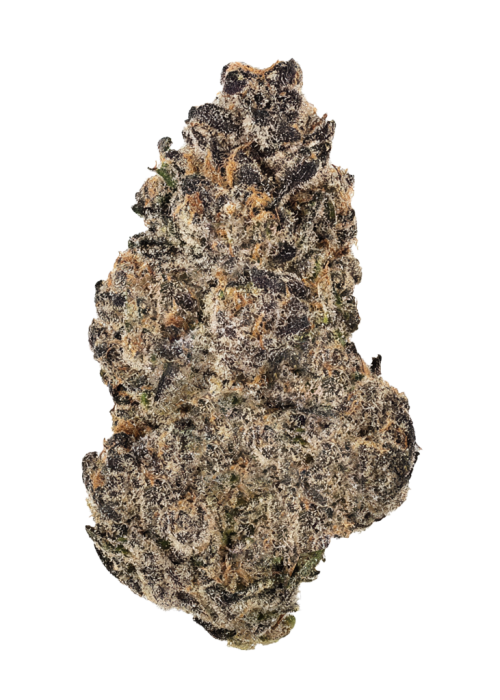 Fritter Banger
