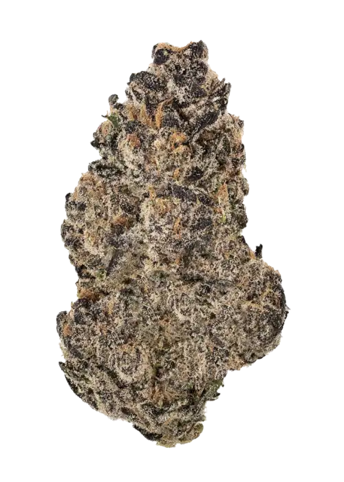 Fritter Banger