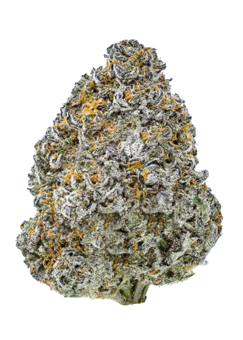 Cherry Town F2
