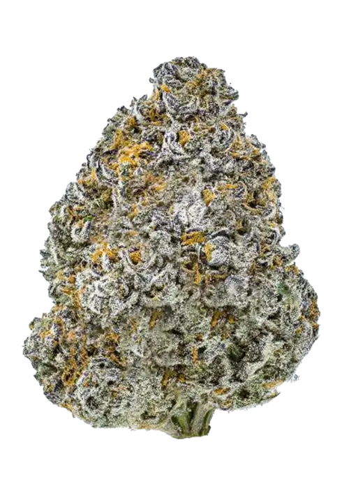 Cherry Town F2