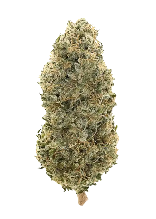 Lemon Island