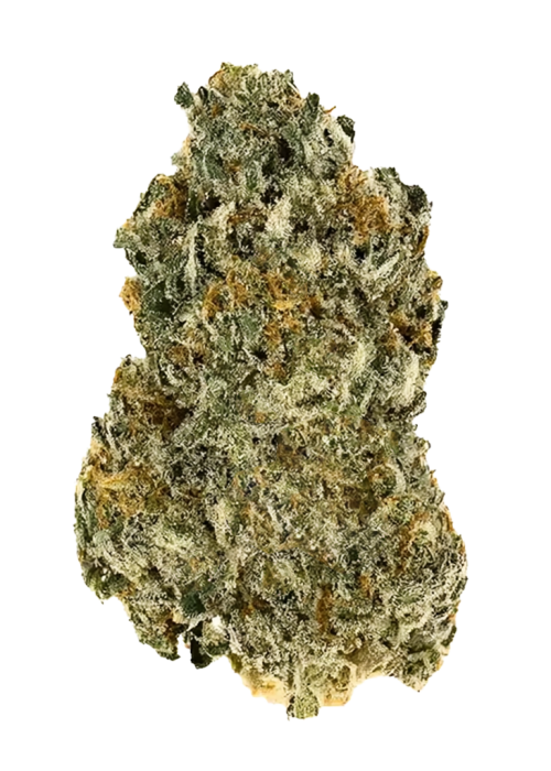 Sherbanger OG