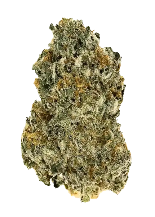 Sherbanger OG