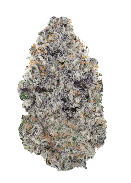 Ben-N-Berry's