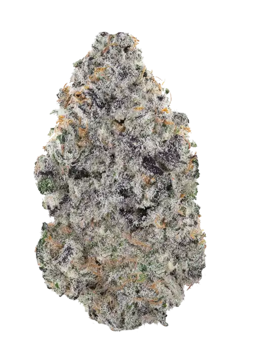 Ben-N-Berry's