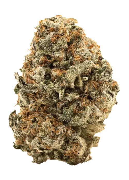 California Breezy