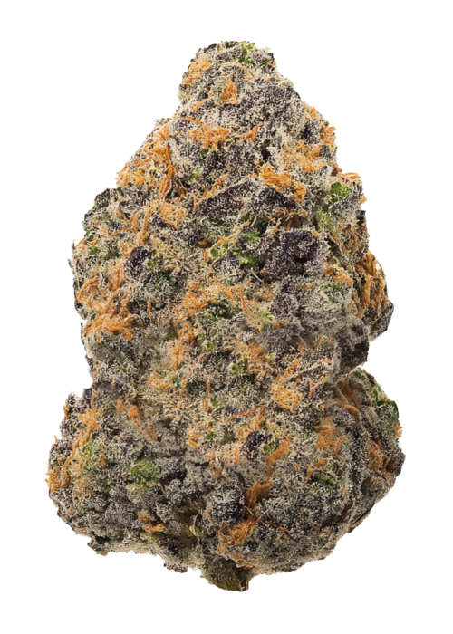Truffle Runtz