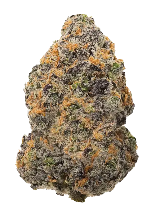 Truffle Runtz
