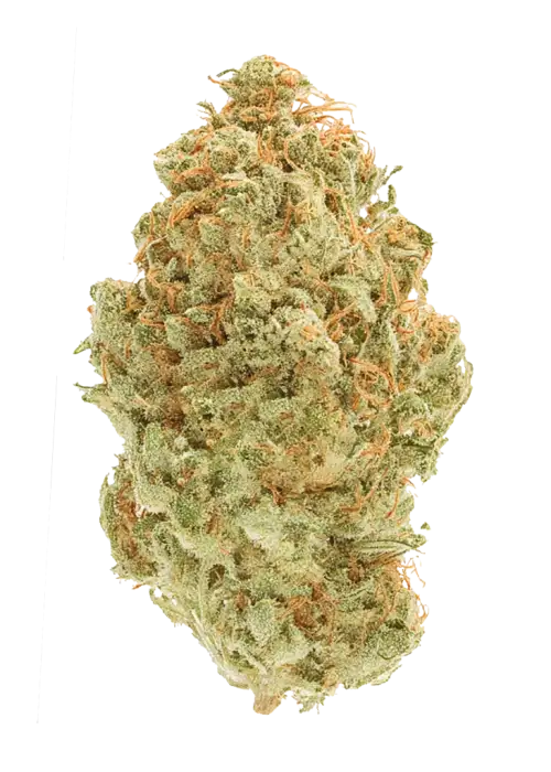 Candy Apple Haze