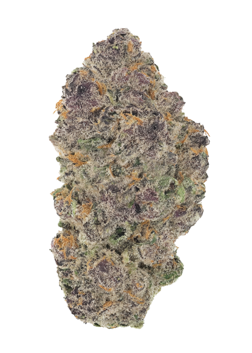 Jane Dough
