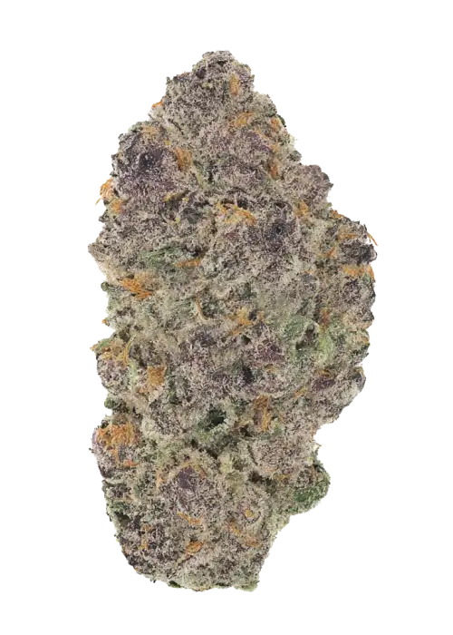 Jane Dough