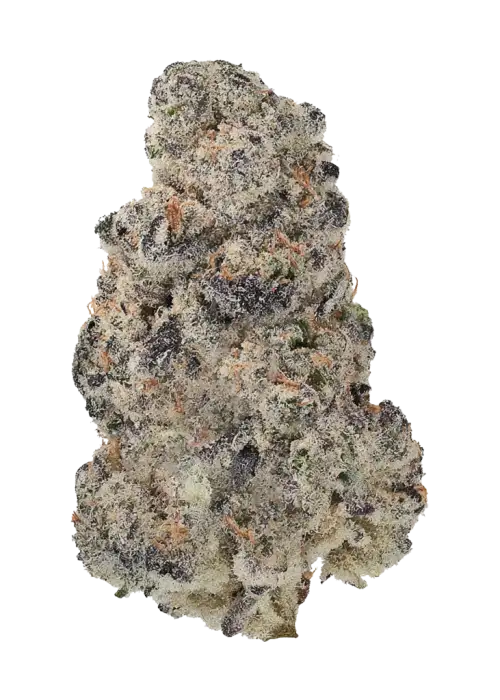 Passion Ivy