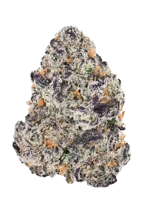 Purple Petro