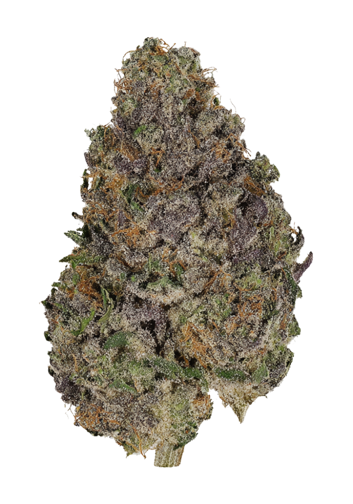 ✳︎Banana✳︎ Banana Z Cannabis Strain Products - GrowDiaries