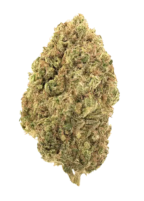 Rainbow Wreck