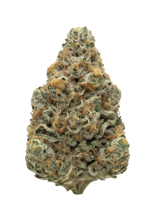 Hazmat