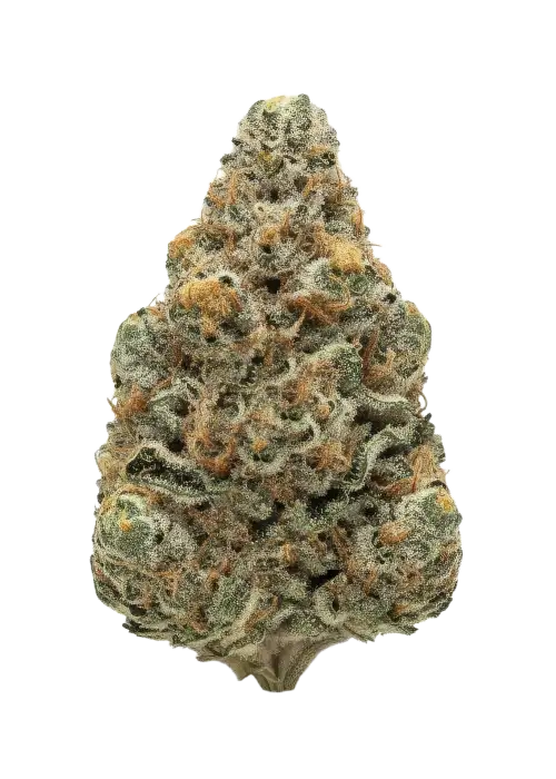 Hazmat
