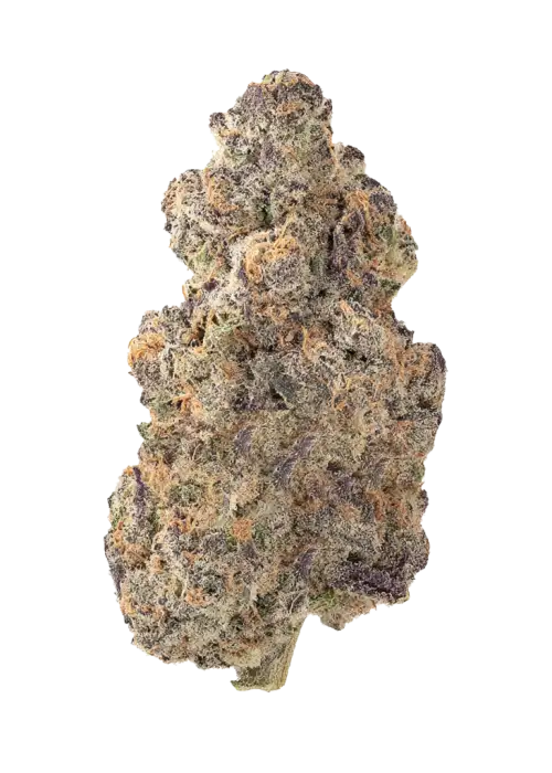 Grimace V2