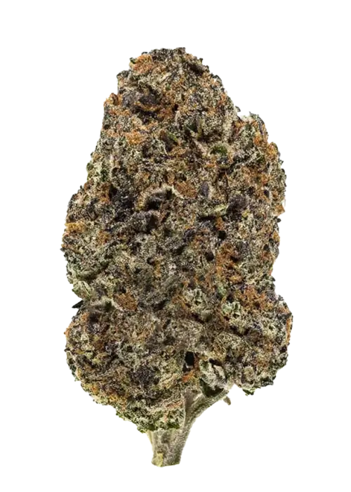 Berry Gas Mask CBD