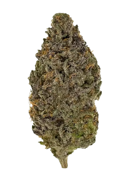 Sour Cherry Diesel