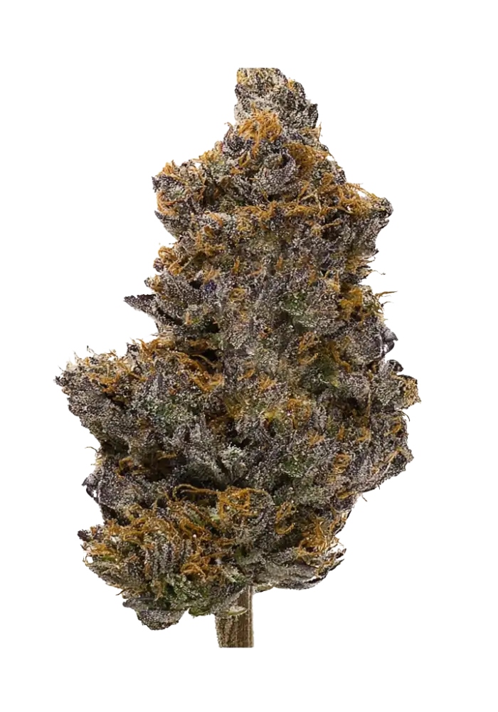Tropical Cooler Cannabis Strain Products - GrowDiaries