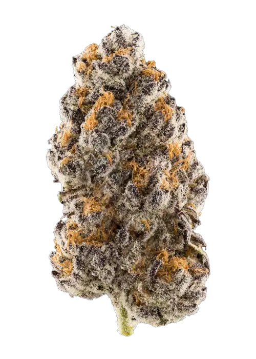 Peanut Butter Bomb