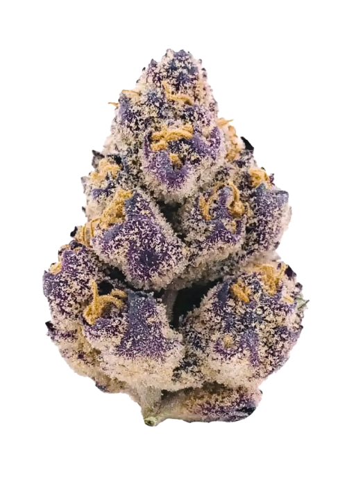 Purple Chemdawg