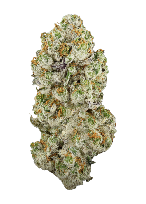 Amnesia Lemon