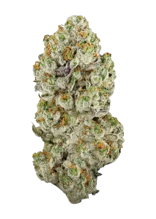 Amnesia Lemon