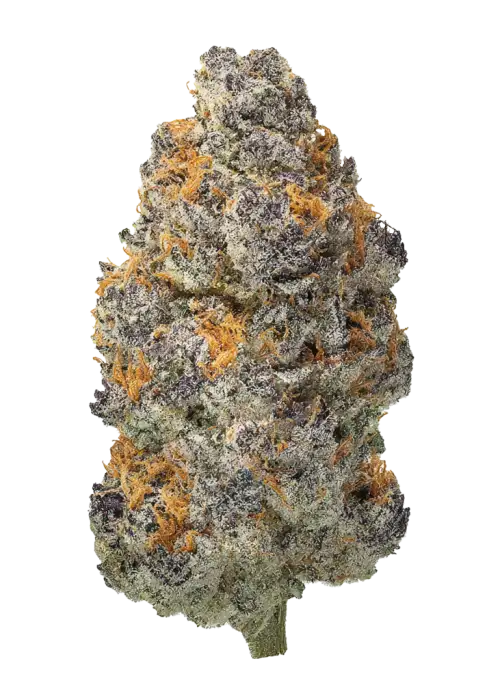 Blue Sunset Sherbert
