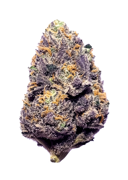 Purple Skunk