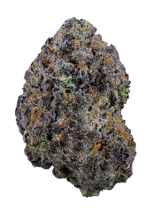 Black Sherbet