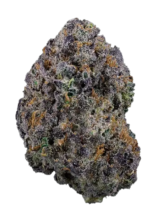 Black Sherbet