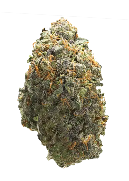 Peanut Butter Scotti