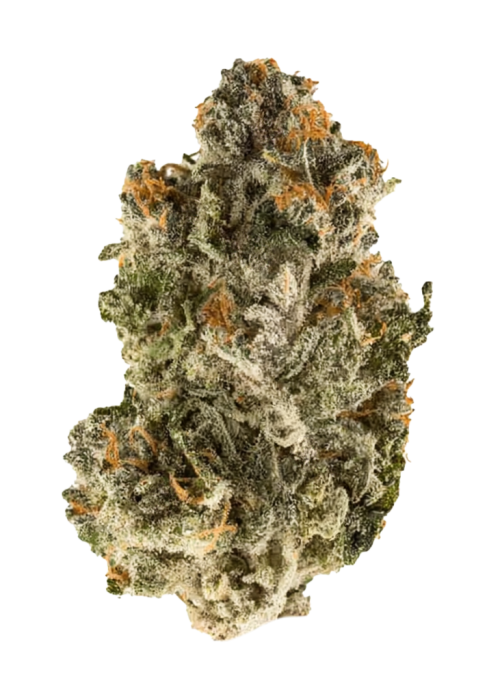 Toasted Marshmallowz