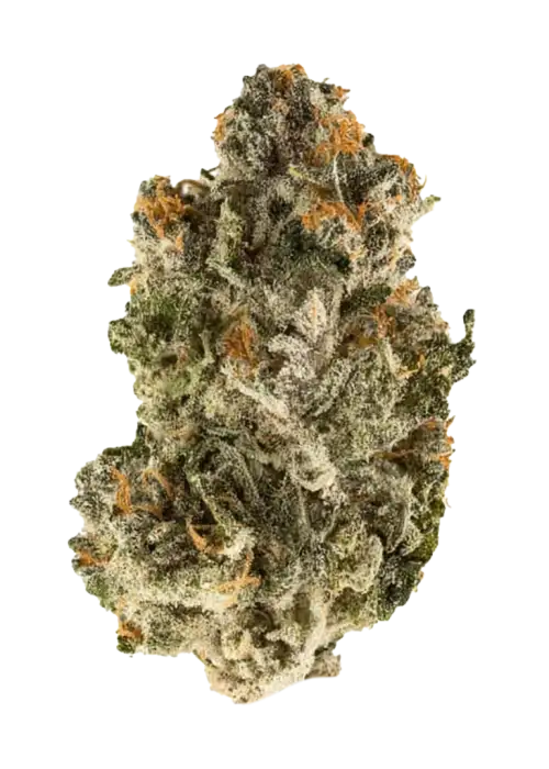 Toasted Marshmallowz