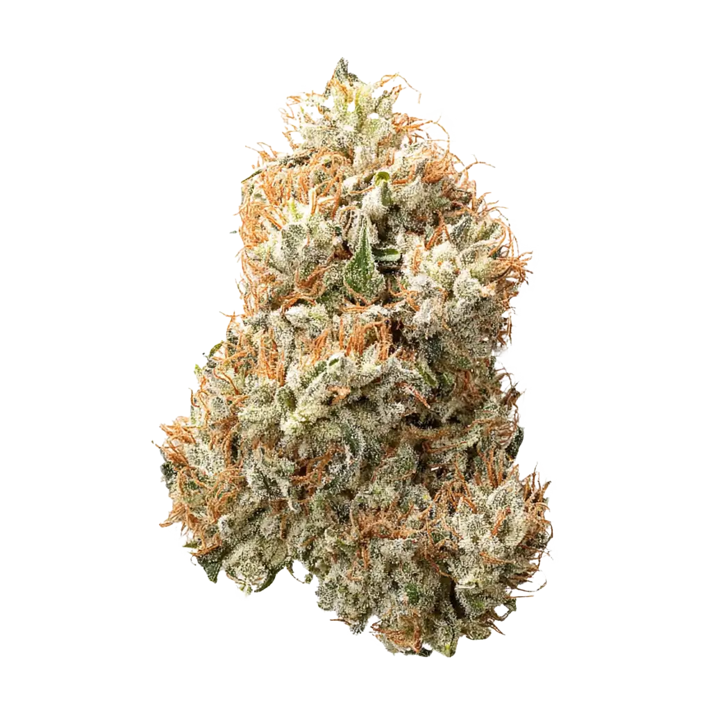 Apricot Oreoz Cannabis Strain Products - GrowDiaries