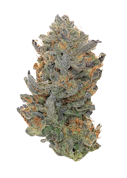 Blood Cherry Spritzer 