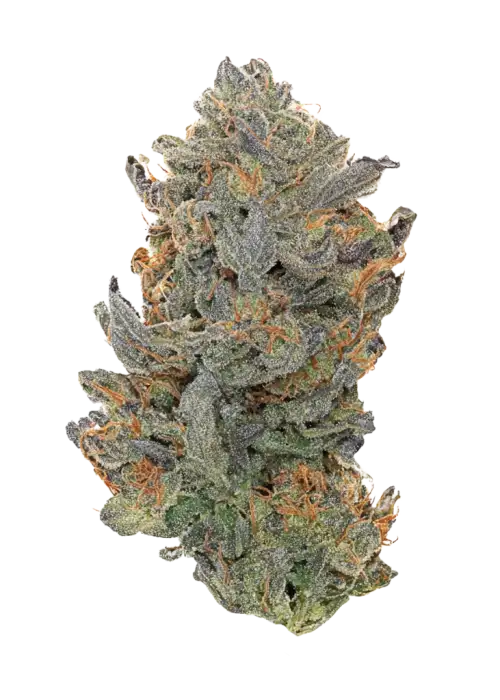 Blood Cherry Spritzer