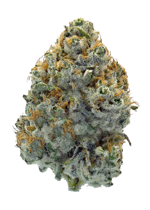 Sour Betty