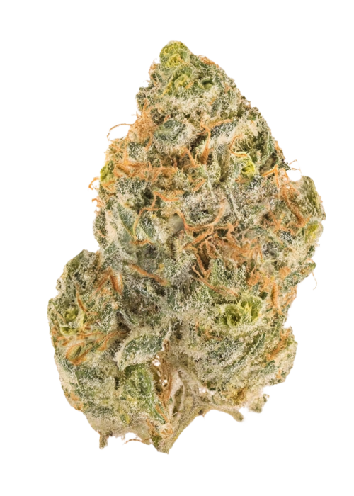 Blood Orange Spritzer