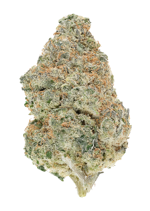 Orange Banana Sherbet