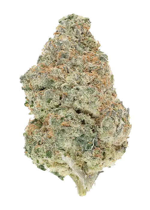 Orange Banana Sherbet