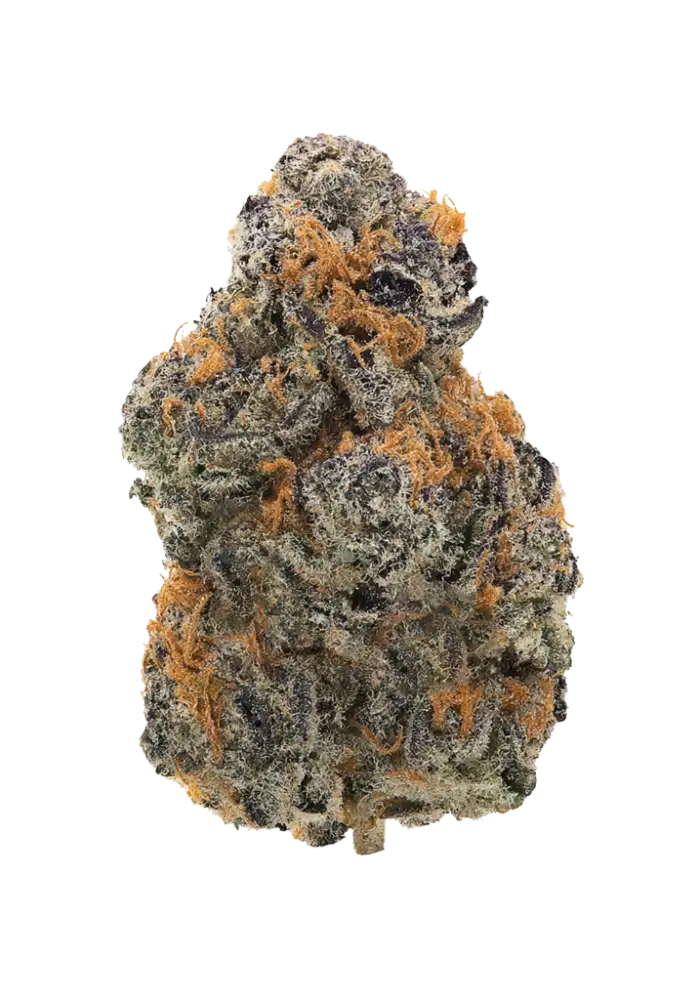 weedssketch 8435-black-cherry-