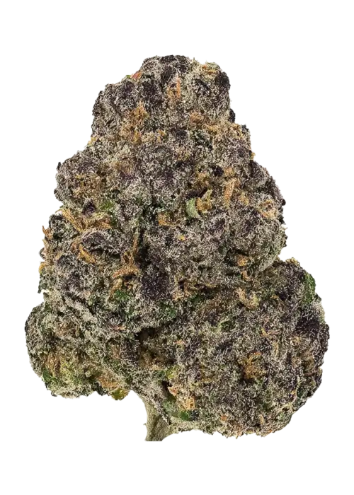 Purple Banana Berries