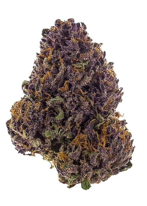 Purple Hash Berries